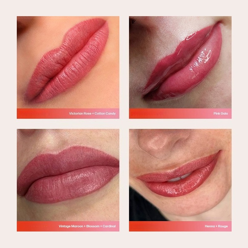 Permanent-Make-up-Tinten für d – Beauty Luxe Makeup Bewertung und Preis